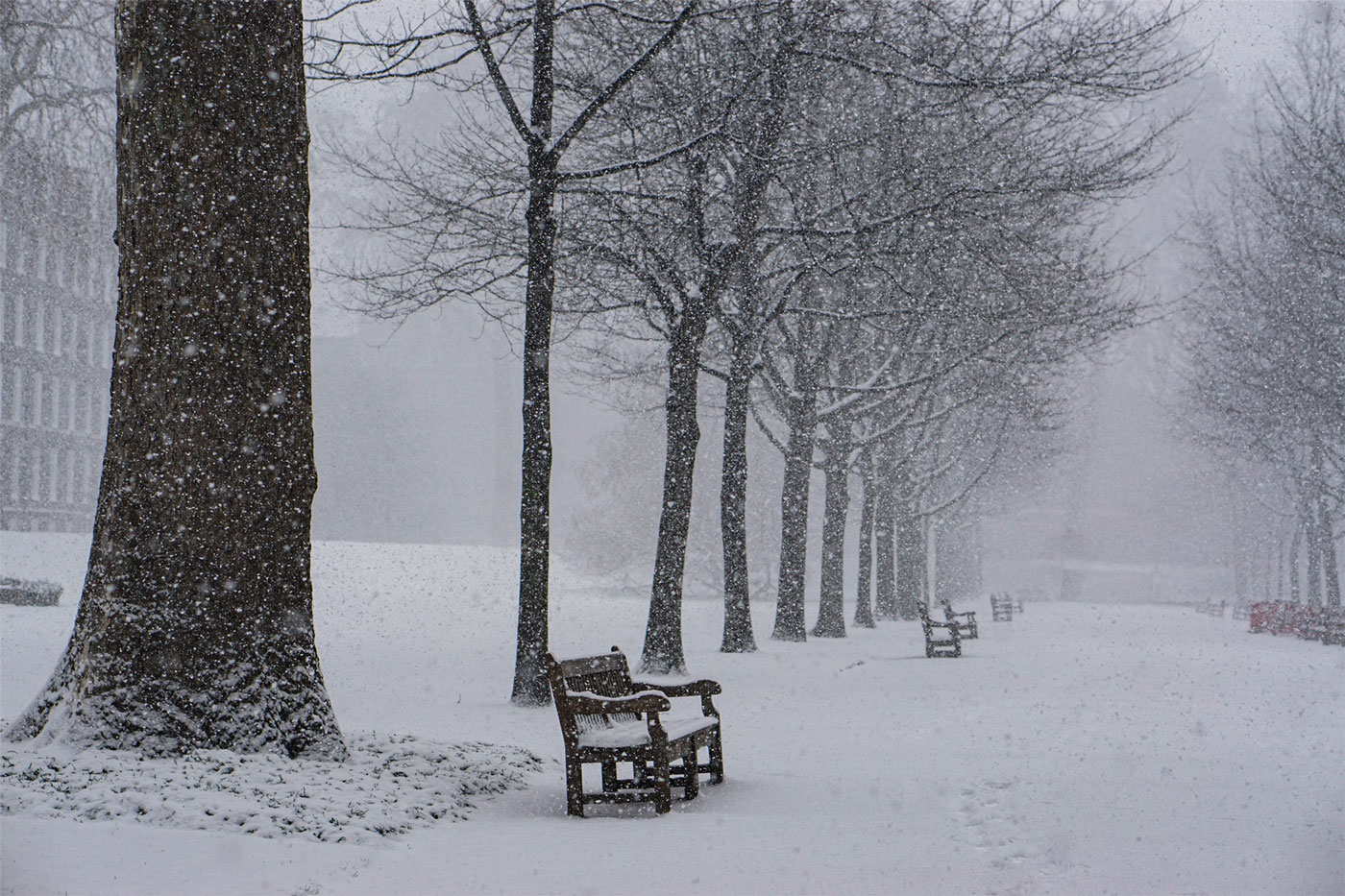 Maintaining Quality Cold Storage in Cold Weather